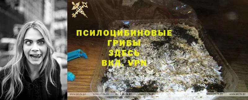 Галлюциногенные грибы Magic Shrooms  kraken ссылки  Дубовка  наркошоп 